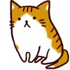 にゃんころライブ
