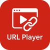 URL Video Player - Cast to Tv