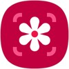 Samsung Photo Editor