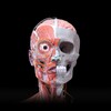 Anatomy 3D Atlas