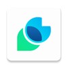 Papercopy - Tracer